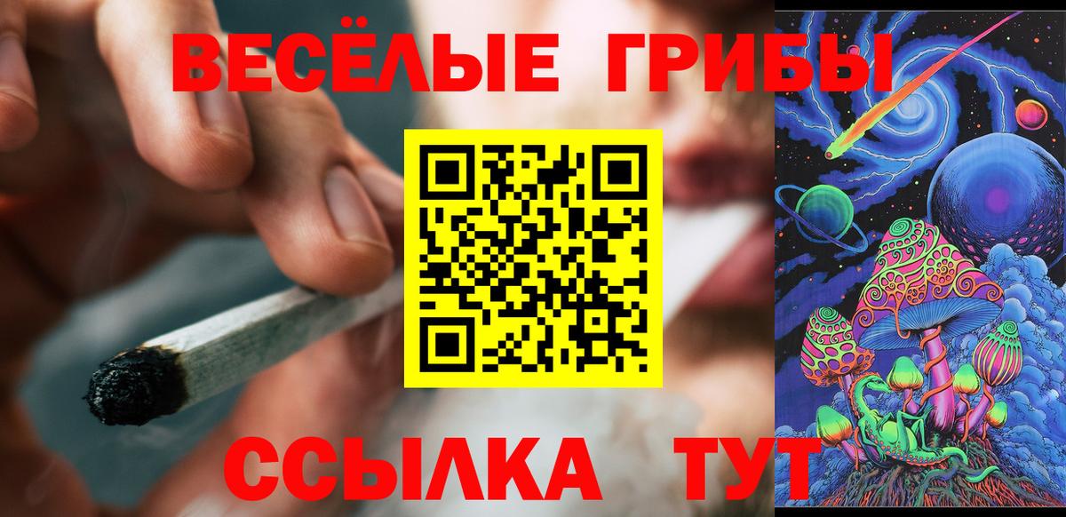 Псилоцибиновые грибы прущие грибы Черногорск