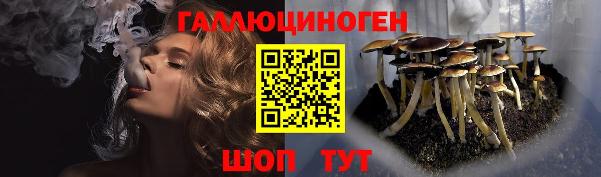 Псилоцибиновые грибы ЛСД  Вход с VPN  Черногорск 